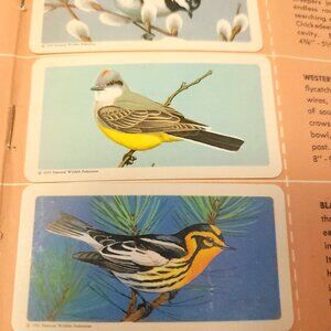 1959 Brooke Bond Song Birds of North America Album - Complete 48/48 Card Set